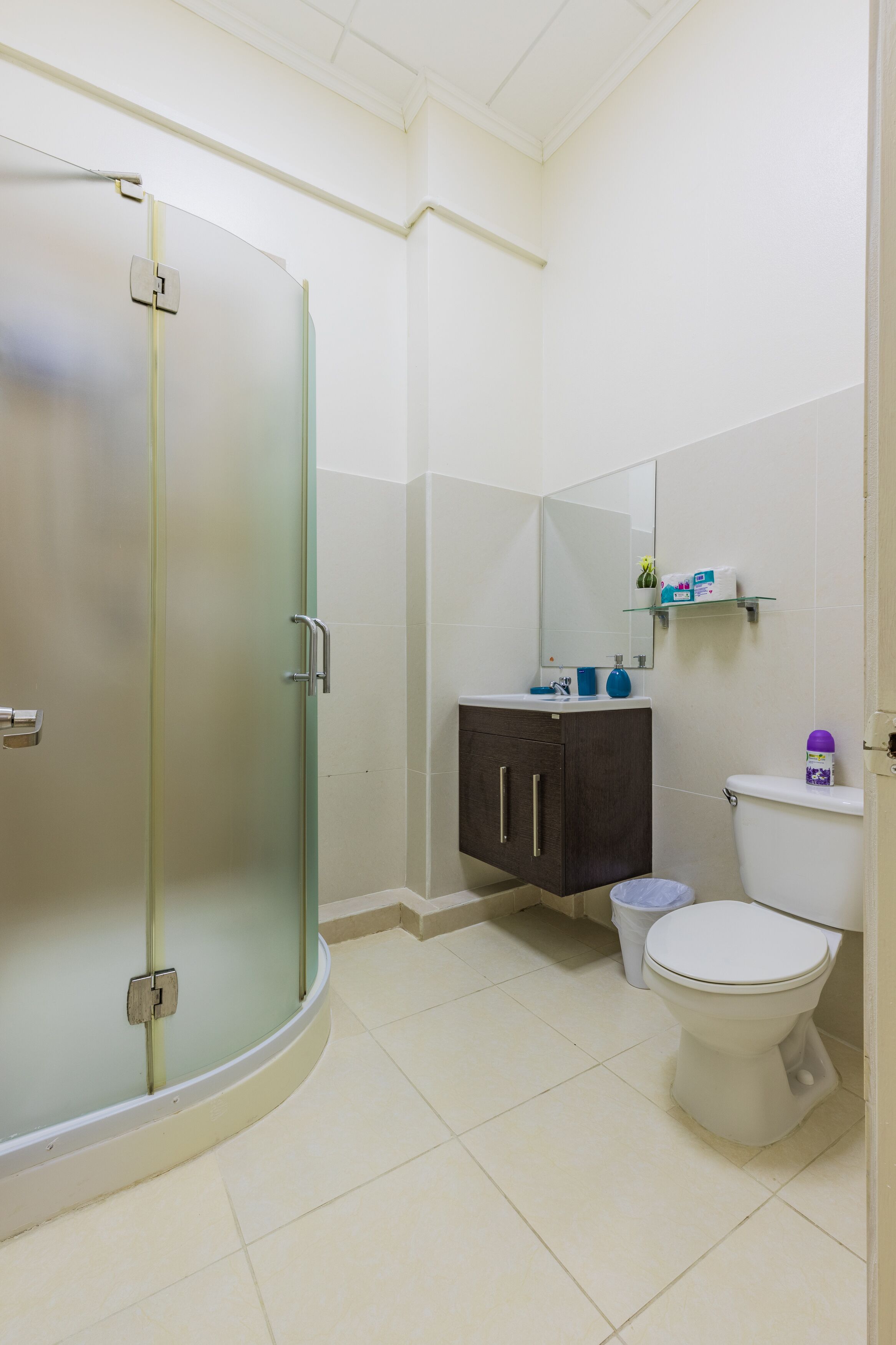 A bathroom with a glass shower enclosure, a white toilet, a dark wooden cabinet, and a mirror above the sink.