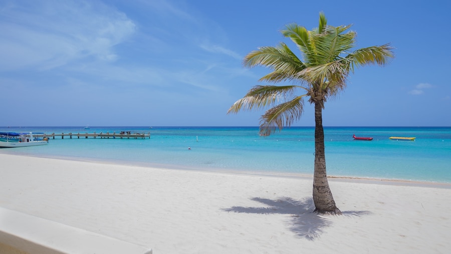 Coral Sands #6 2 Bedroom Condo by RedAwning