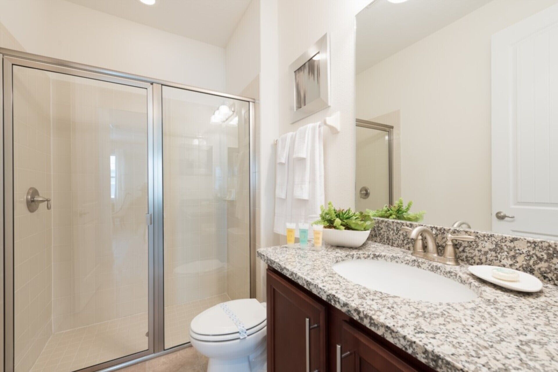 A modern bathroom with a glass shower enclosure, a white toilet, a granite countertop sink, and a mirror above the sink.