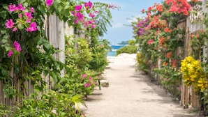 A pathway lined with flowering plants leading to a beach. - Private Villa in Seminyak 1142 (Seminyak)