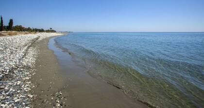 Villa for Rent in Larnaca 1012