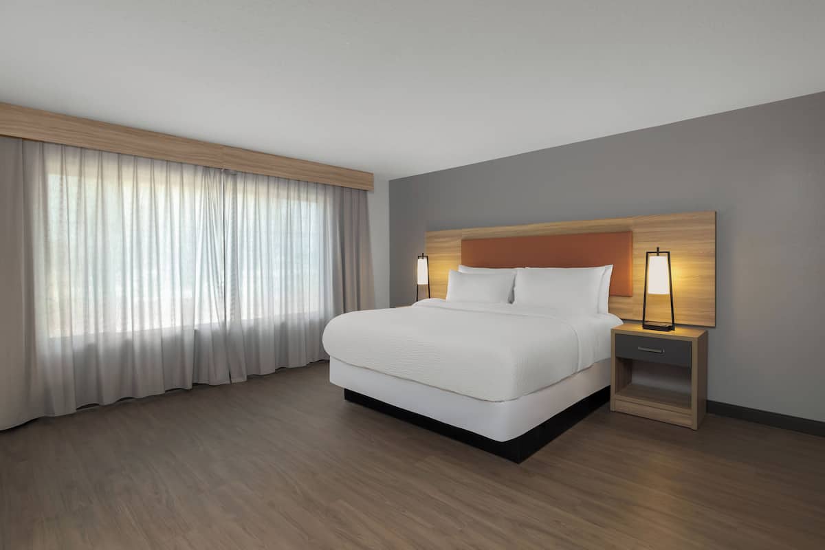 Studio suite, 1 kingsize bed, toegankelijk voor slechthorenden, niet-roken | Een bureau, een laptopwerkplek, verduisterende gordijnen