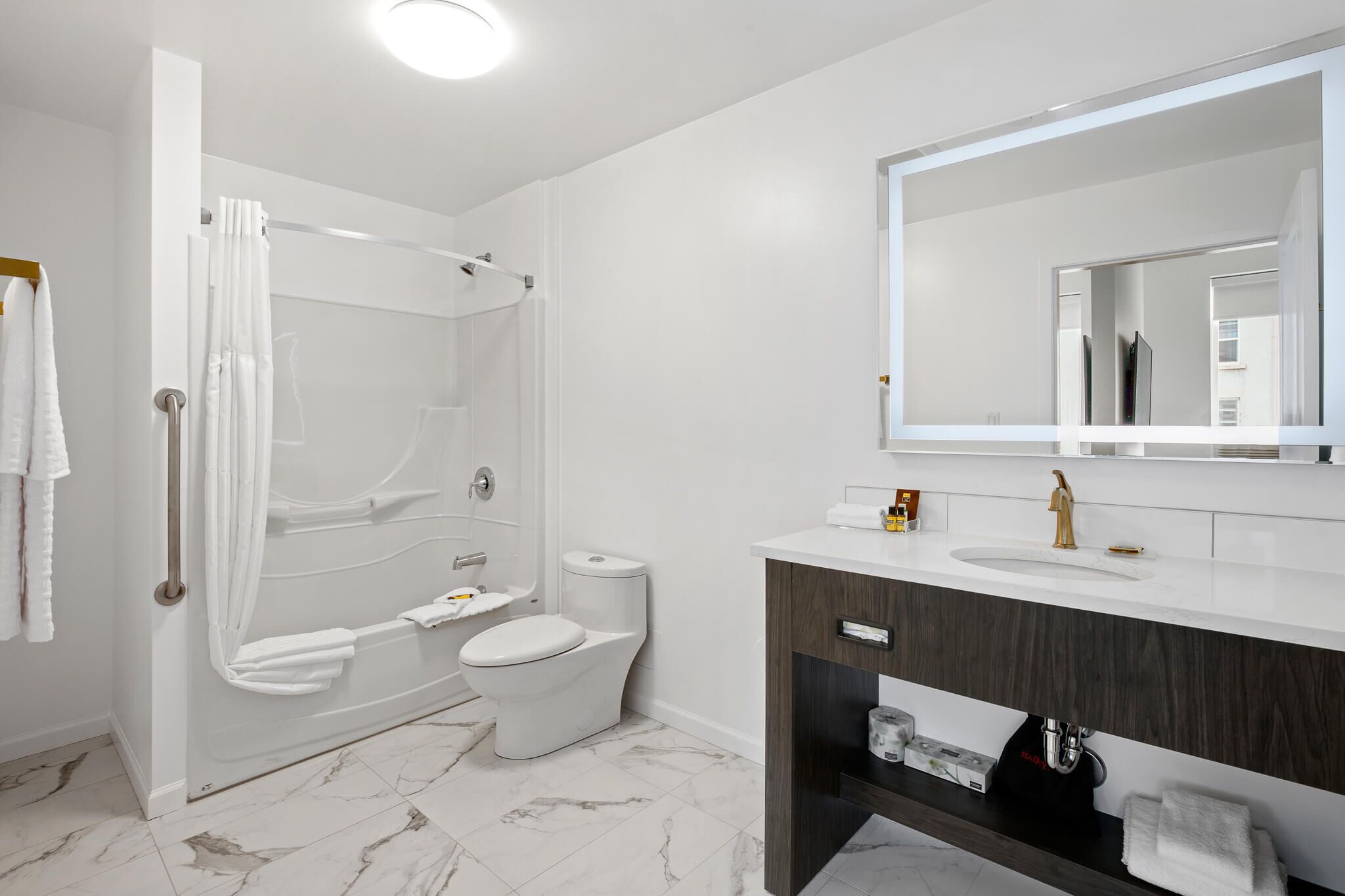 suite, 1 king bed, accessible, bathtub (queen sofabed) | bathroom | free toiletries, hair dryer, towels, soap