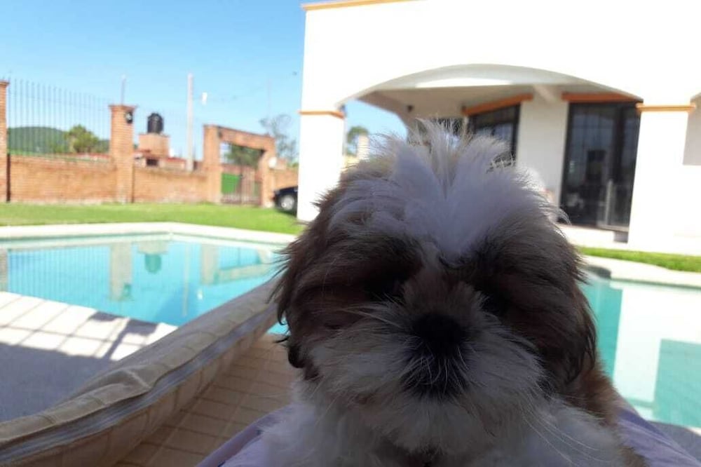 VACATION HOUSE IN CUAUTLA