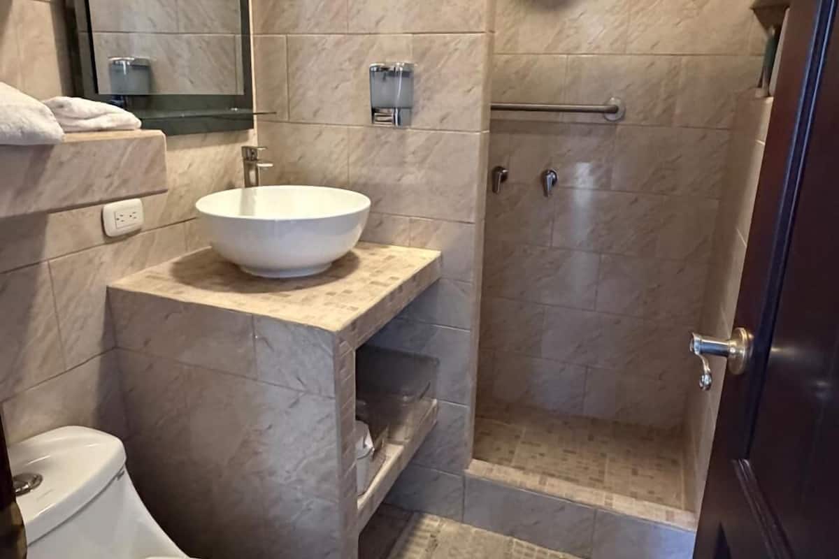 Hair dryer, towels, soap, shampoo