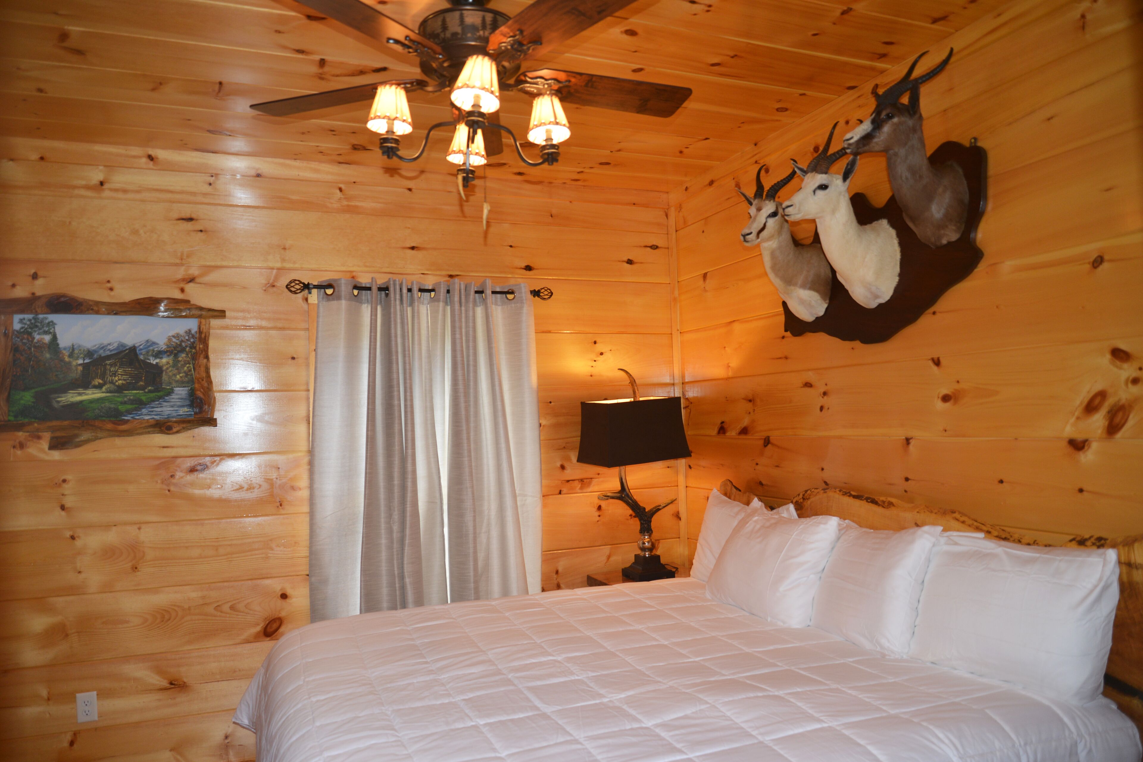 Una habitación de cabaña de madera con una cama, un ventilador de techo, una cabeza de ciervo montada, una lámpara y una cortina.