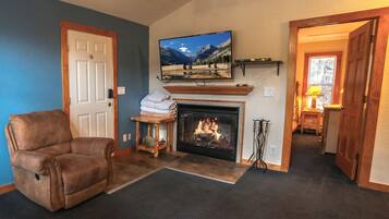 Televisión, chimenea y reproductor de DVD