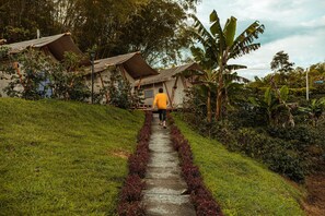 Enceinte de l’hébergement