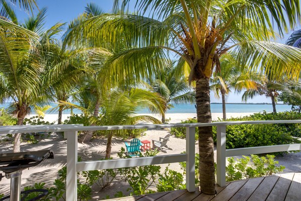 Property grounds - OHANA WATA cabana, BEACHFRONT luxury, privacy, view & space IN the village ! (Placencia)
