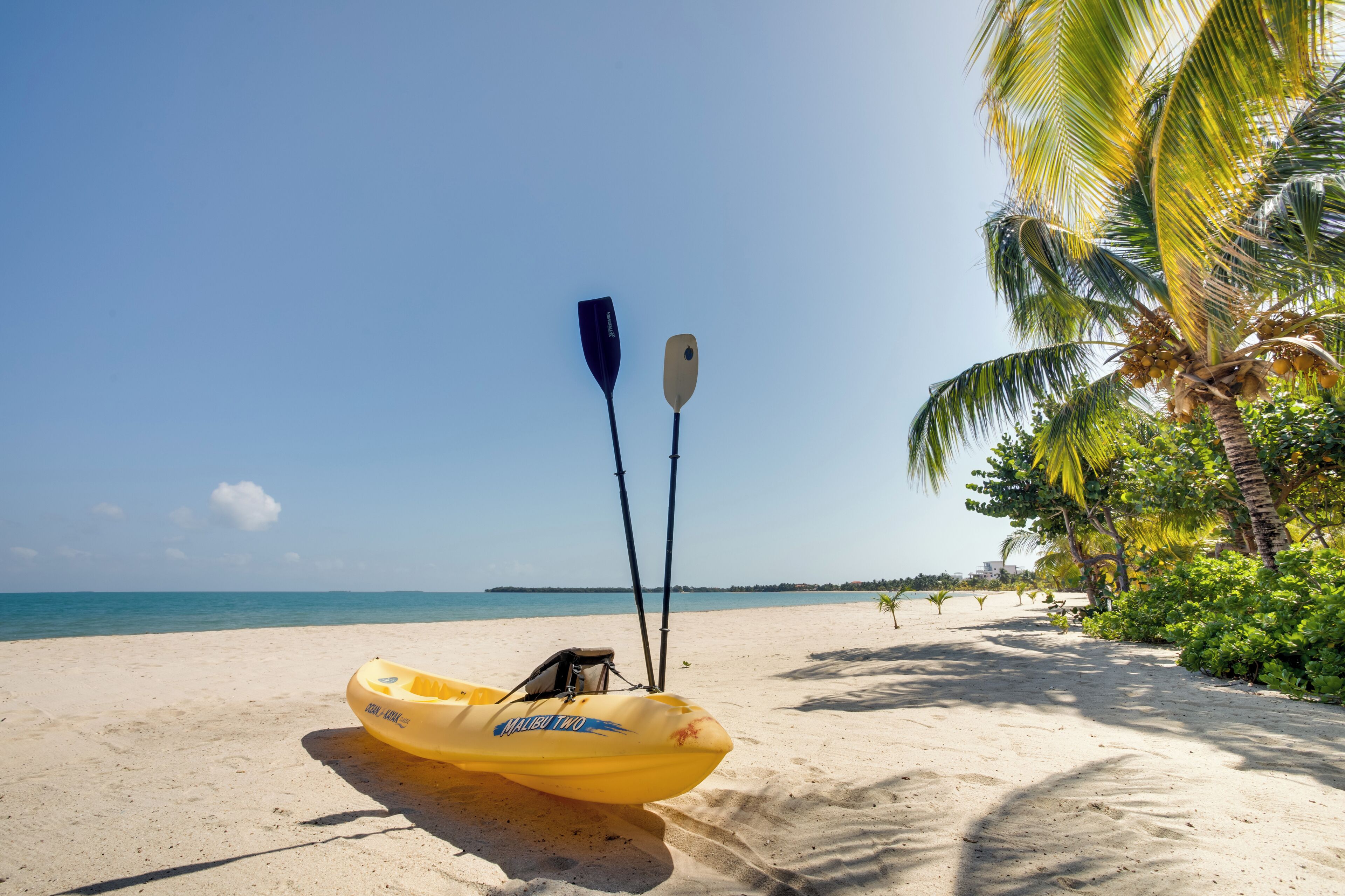 Accommodatie ligt op het strand, ligstoelen, strandlakens