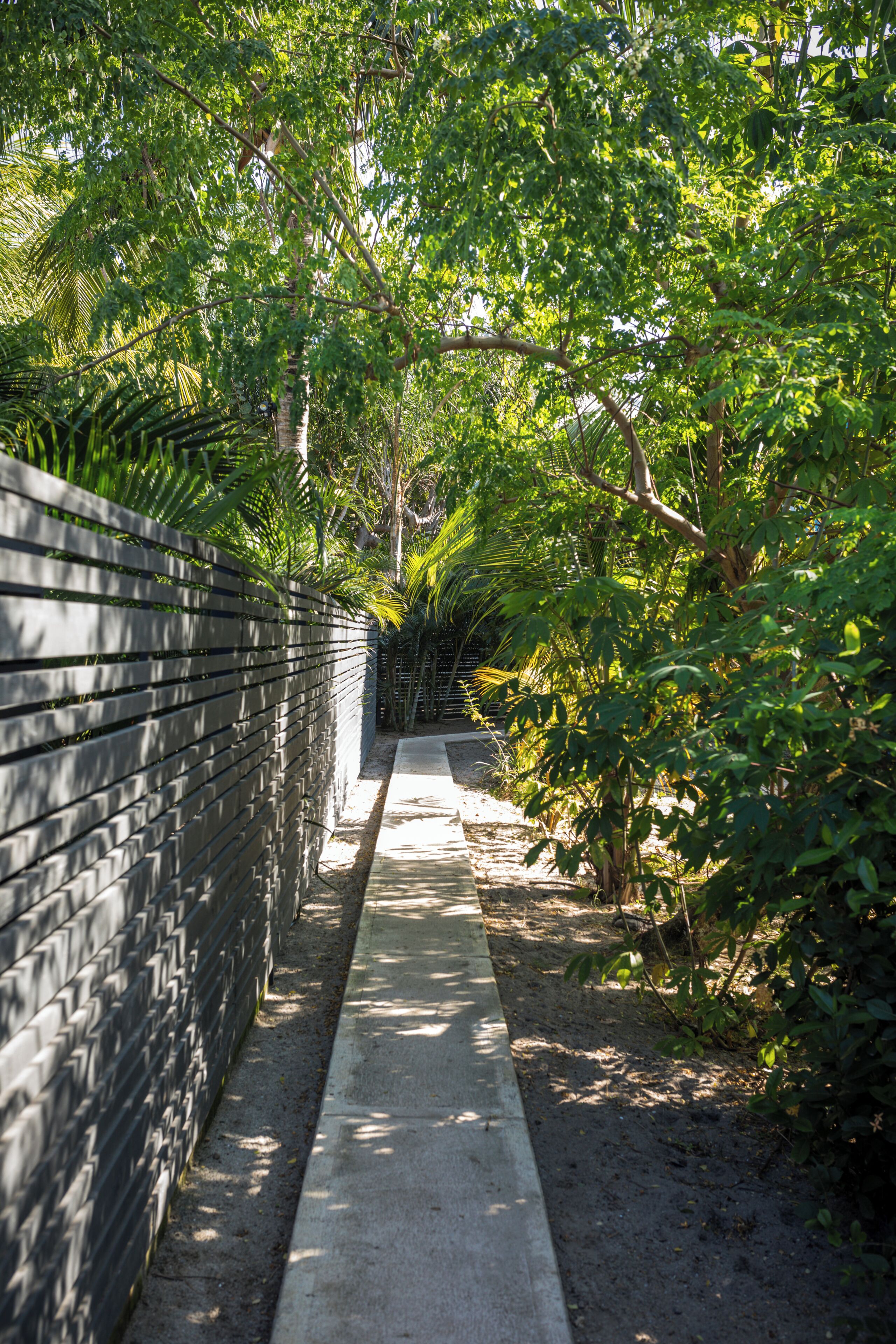 Un sentier bordé d’un mur de briques et d’une végétation luxuriante.