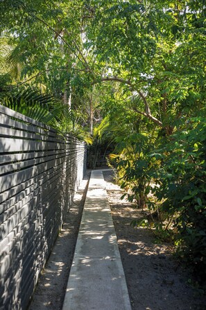 A pathway flanked by a brick wall and dense foliage.