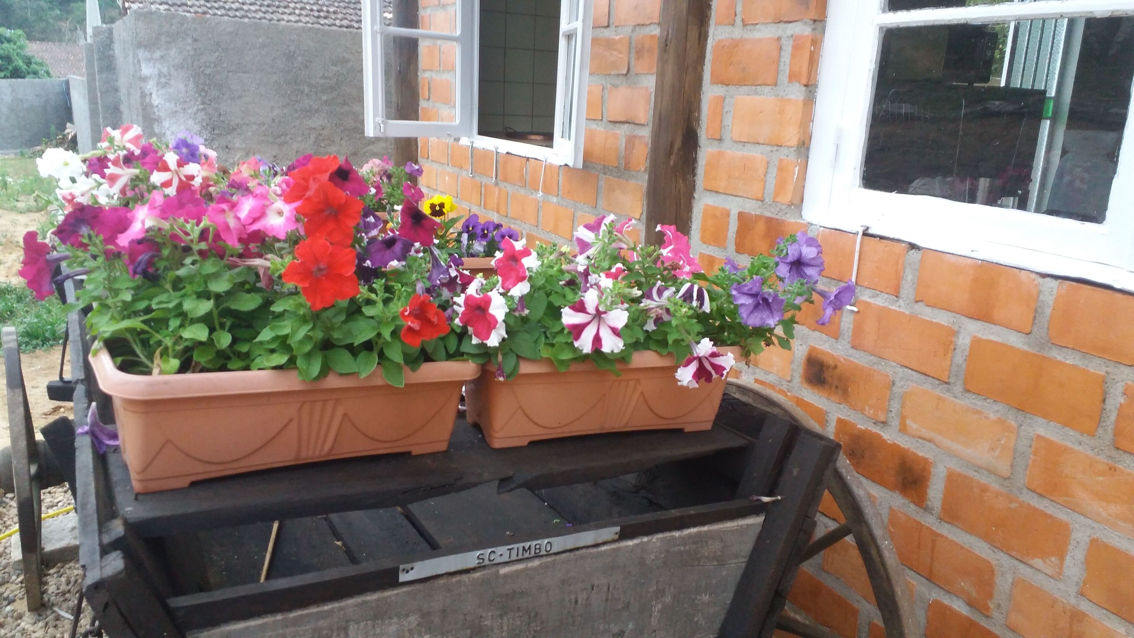 Urban site Amorinzópolis