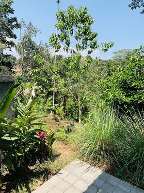 Property grounds - Private House with Jungle view - II (Keliki, Ubud)