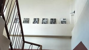 A staircase with a handrail, leading to a landing with a white wall and a series of framed pictures.