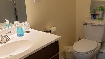 Regadera, secadora de cabello, toallas, jabón