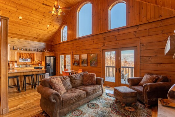 TV, fireplace, music library