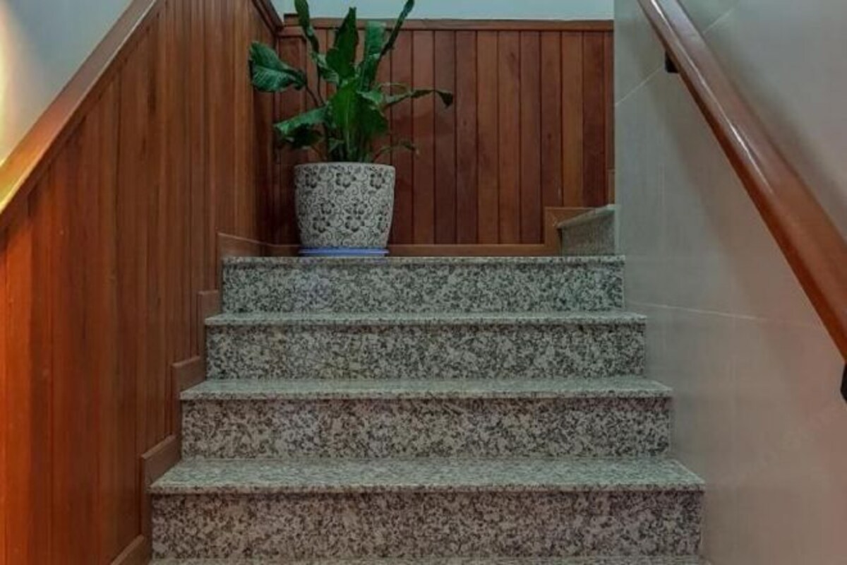 A staircase with a wooden handrail and a potted plant on the top step.