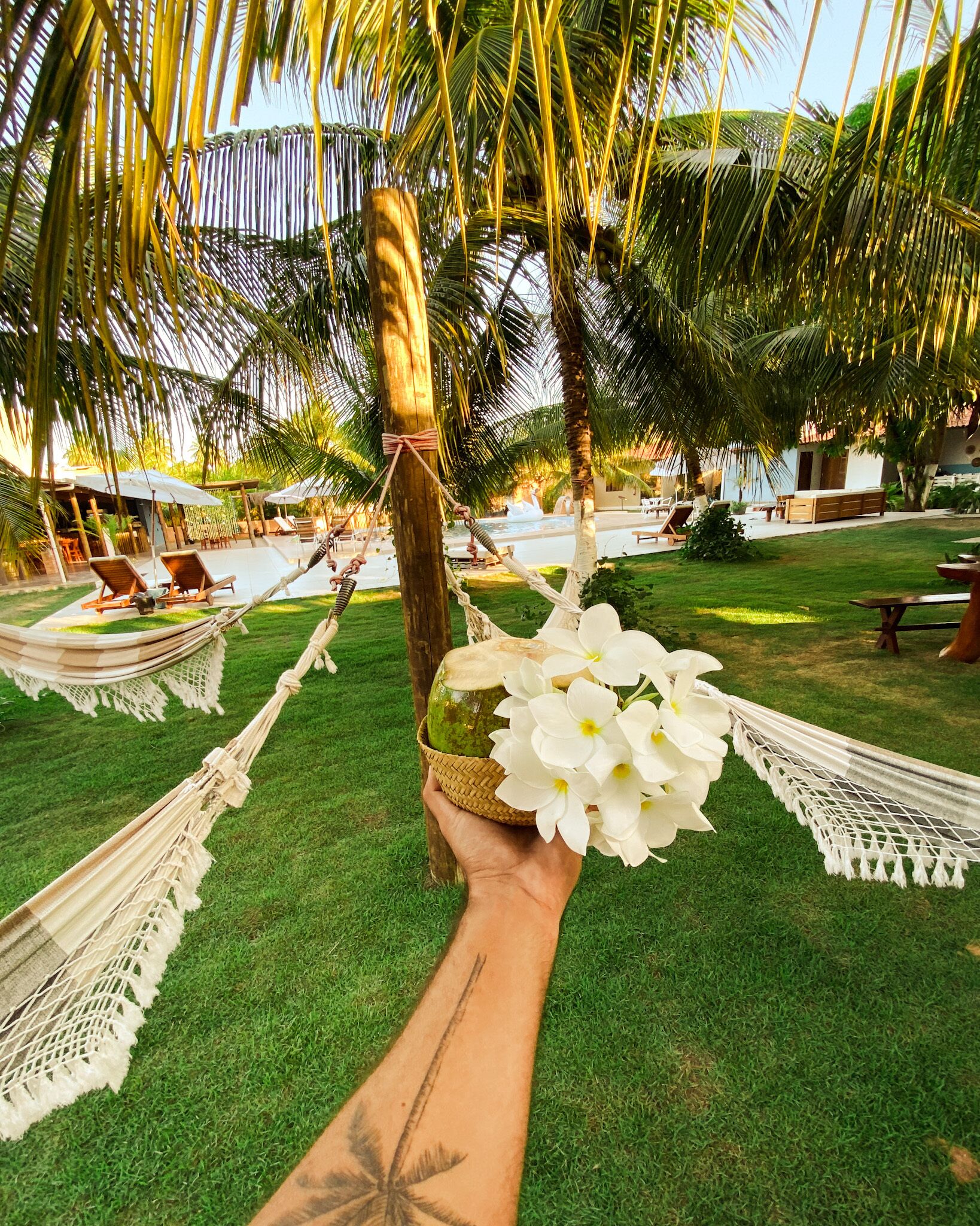 Smart TV 24 polegadas com canais a cabo, TV