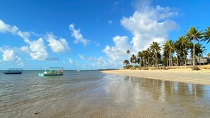 Une plage avec une eau cristalline, des palmiers et un bateau qui se dessine à l’horizon.