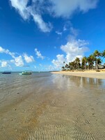 Una playa cerca, traslado desde/hacia la playa gratis
