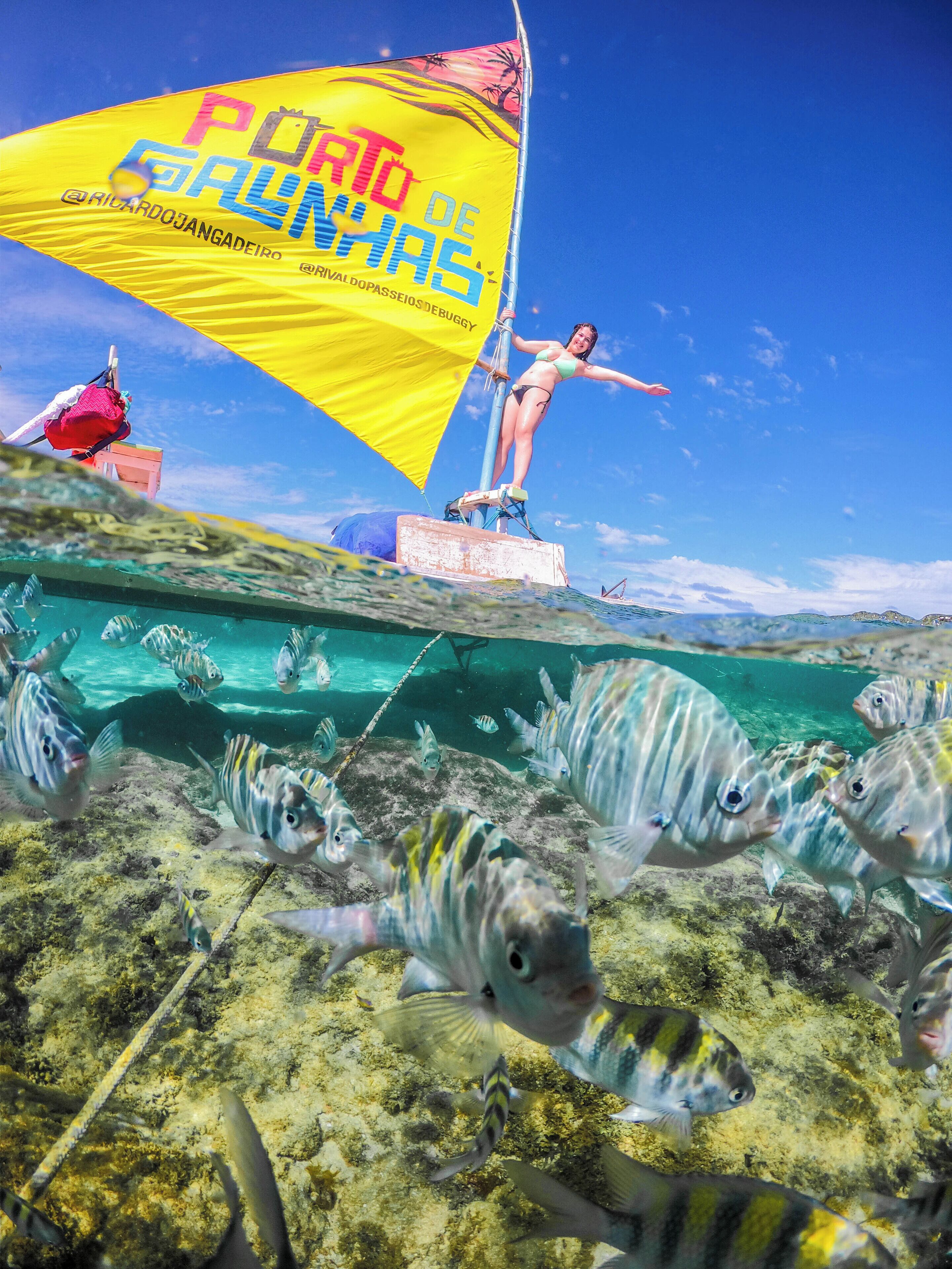 Foto - Pousada Brisa Do Porto