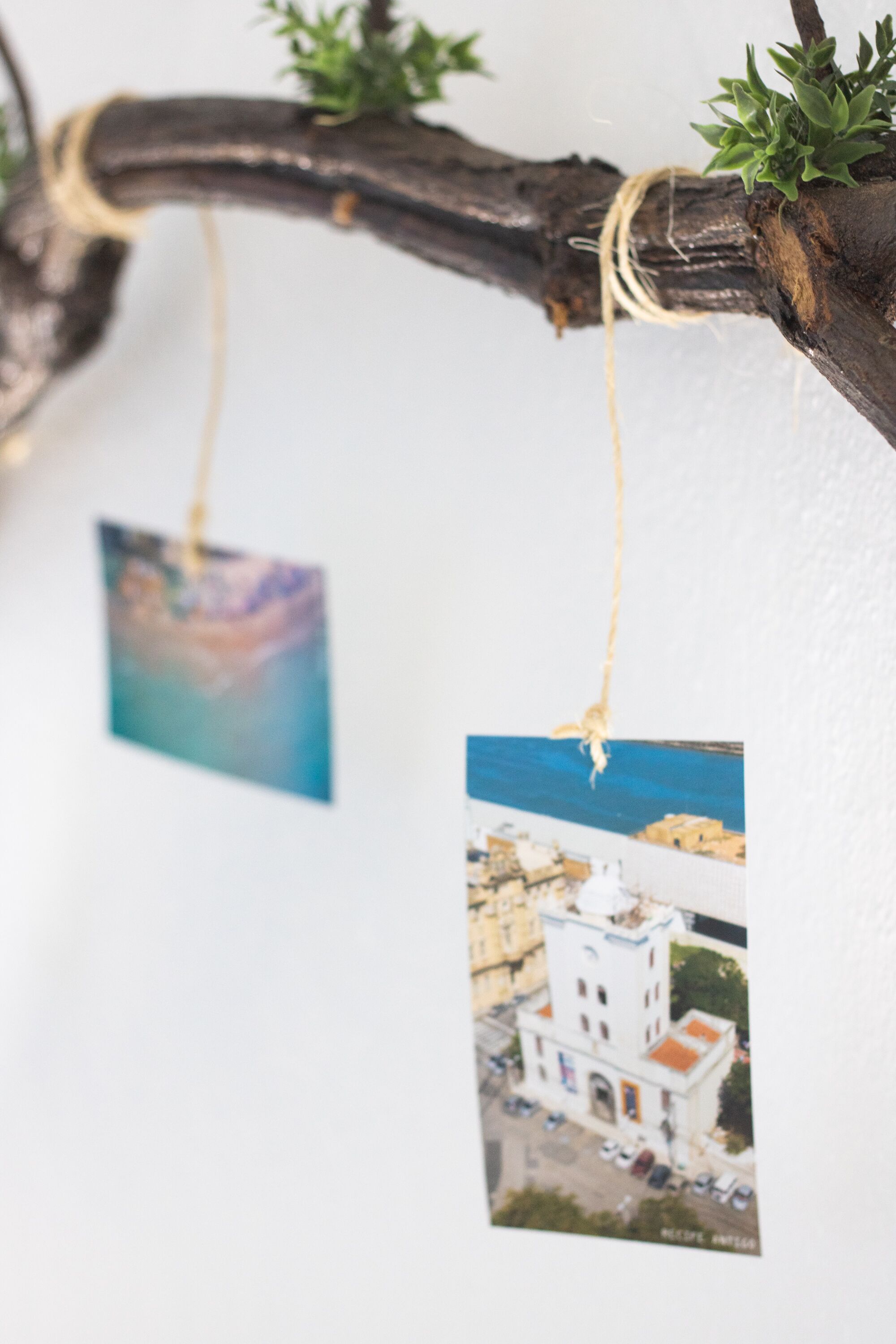 Foto - Pousada Brisa Do Porto