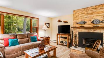 TV, lareira, DVD player, livros