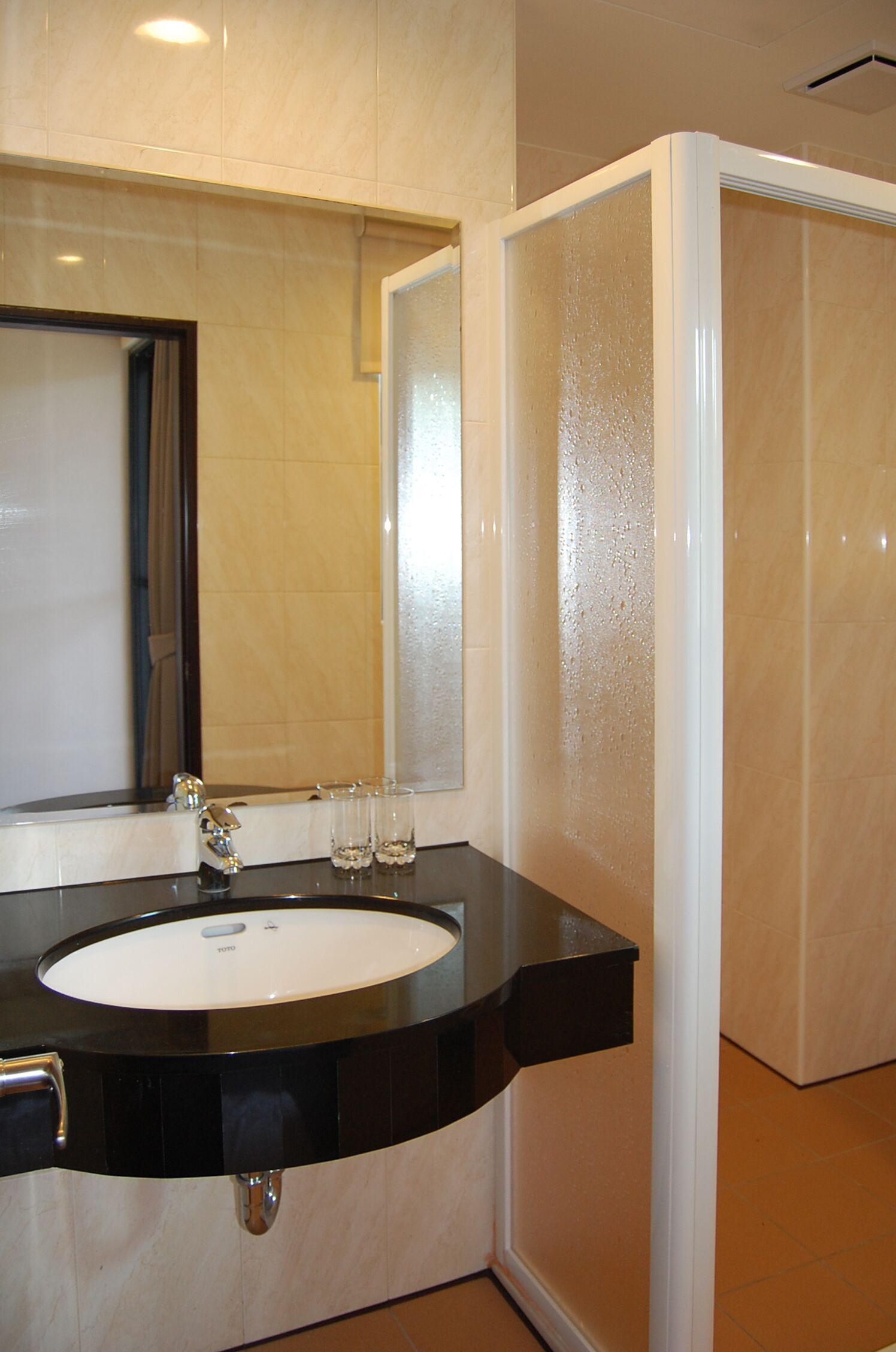 shower, free toiletries, hair dryer, slippers