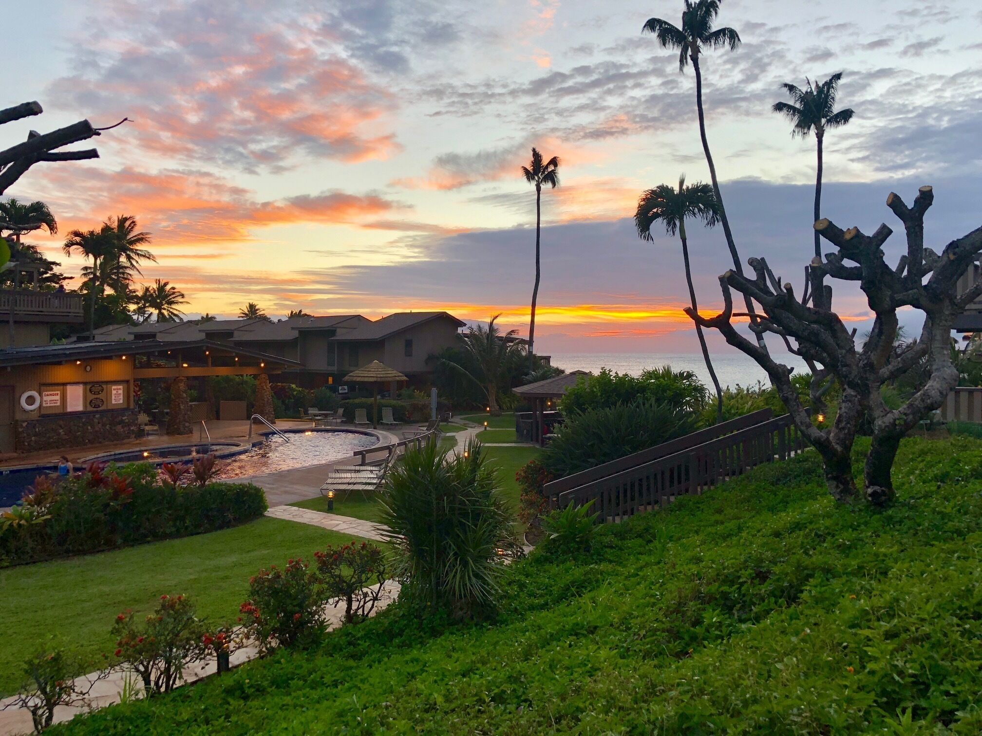 A resort with a pool, palm trees, and a sunset view.
