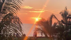 A sunset view with palm trees and a beach.
