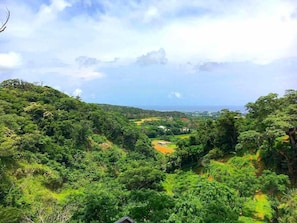 A lush green landscape with a river, hills, and a distant view of the ocean. - Muwmin Farm - Hostel (Nakijin)