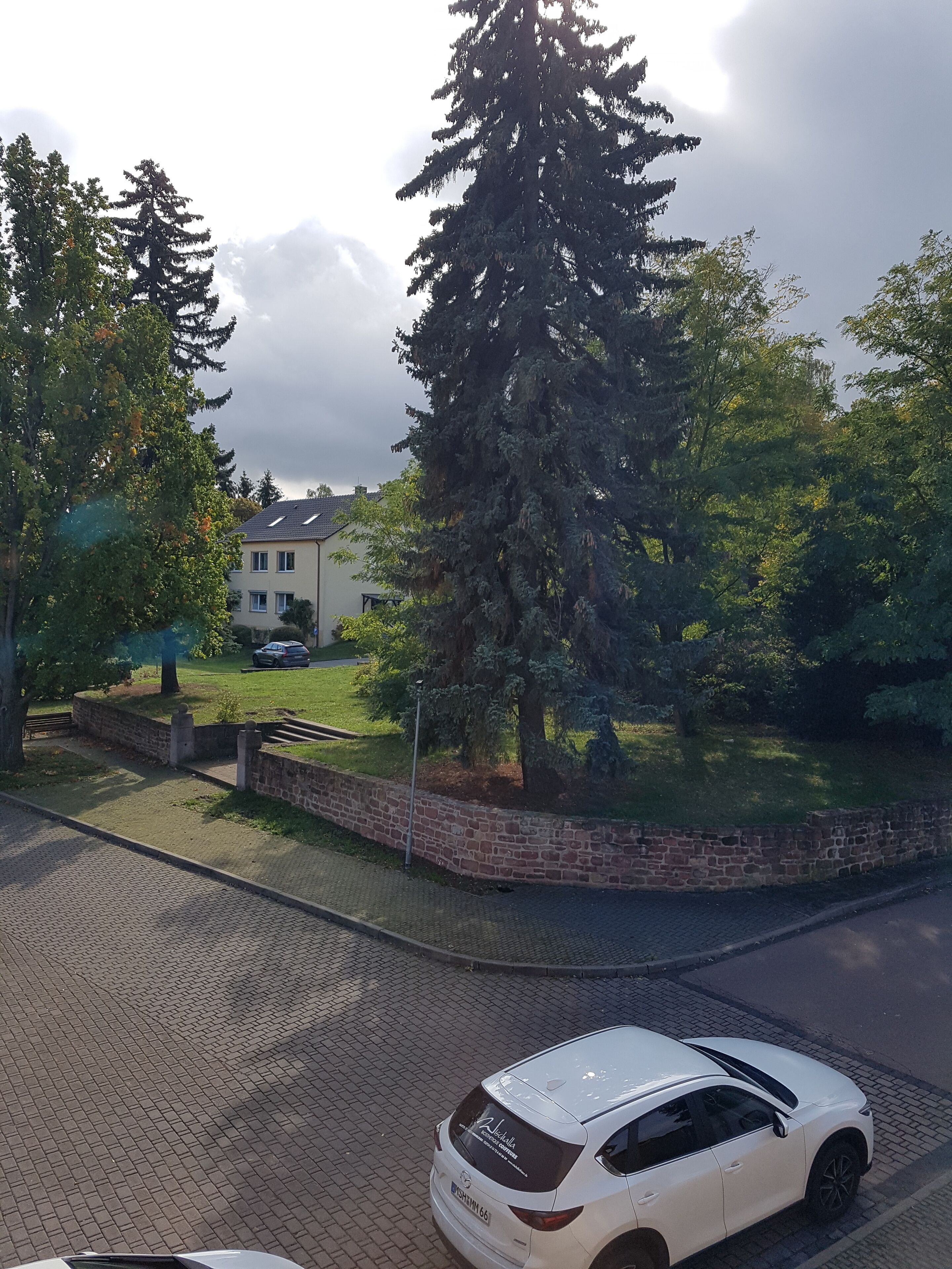 Zona residencial con entrada pavimentada, un coche blanco estacionado en la calle y un gran árbol de hoja perenne.