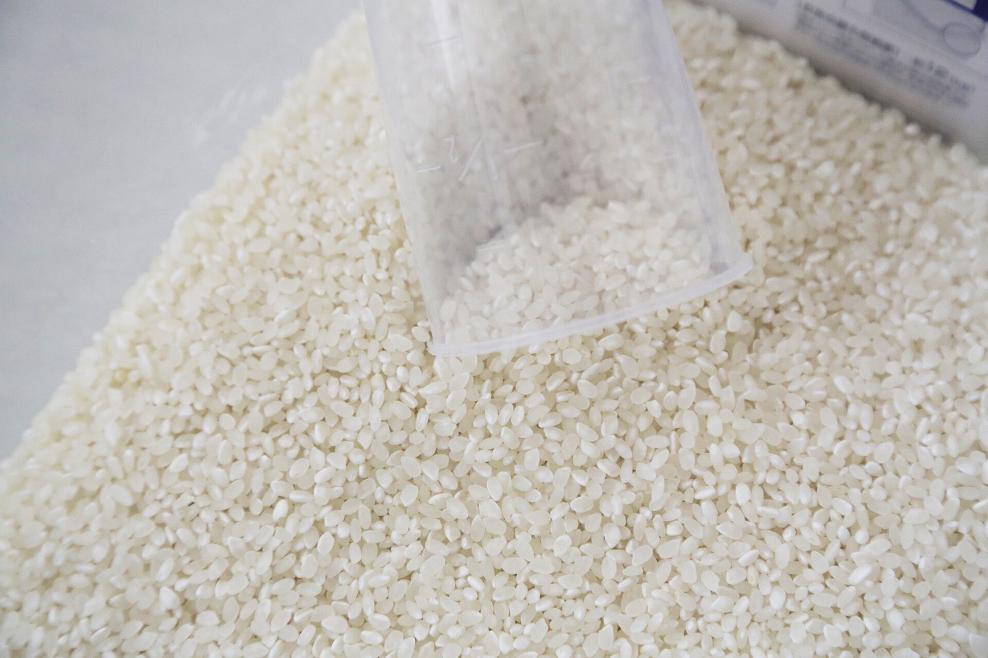 Private Vacation Home | Private kitchen | Fridge, microwave, stovetop, electric kettle