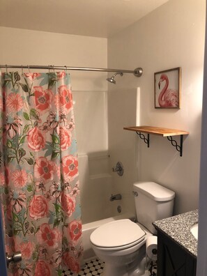 Combined shower/bathtub, hair dryer, towels, shampoo