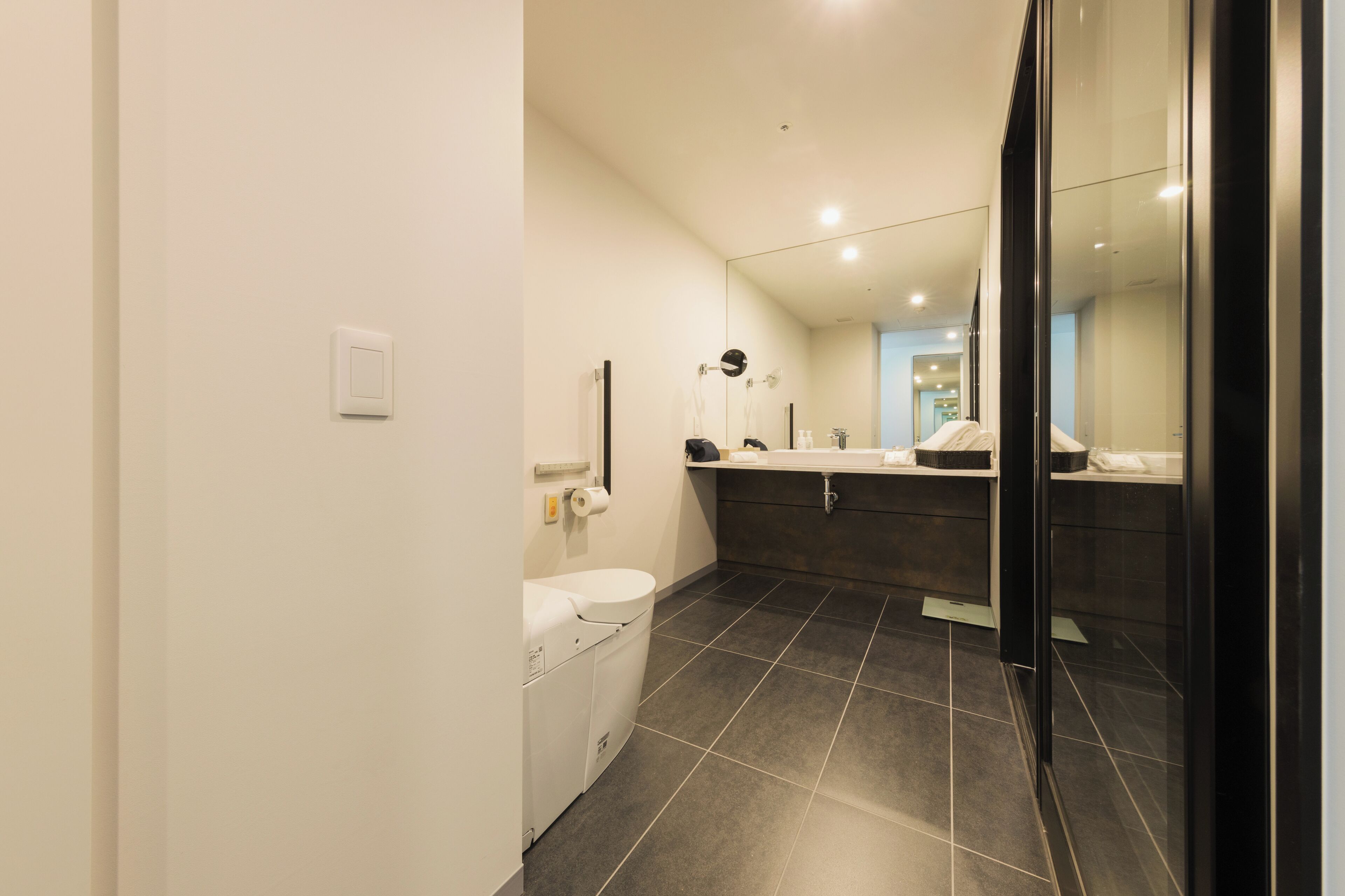 Une salle de bain moderne avec des toilettes, un lavabo et un miroir.