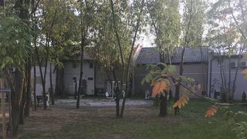 Un pati amb arbres, un camí de grava i un edifici amb teulada aïllada.