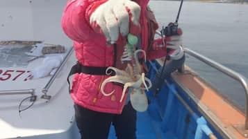 Een persoon in een boot die een grote octopus vasthoudt.