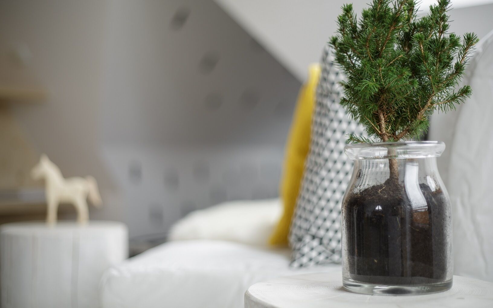 A small potted plant in a glass jar on a white surface.
