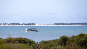 Un bateau nommé « Surprise » sur des eaux calmes, avec une plage de sable et des arbres en arrière-plan.