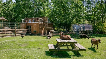 BBQ/picnic Area