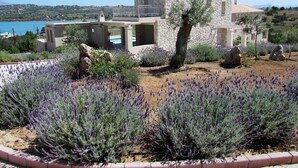 A stone house with a pool, surrounded by lavender fields and a view of the sea. - Edem Resort (Ermionida)