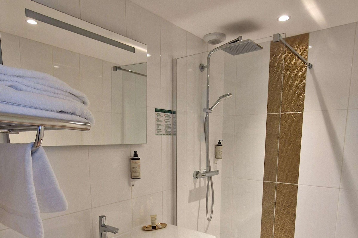 shower, free toiletries, hair dryer, towels