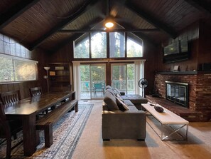 TV, fireplace, video games, books