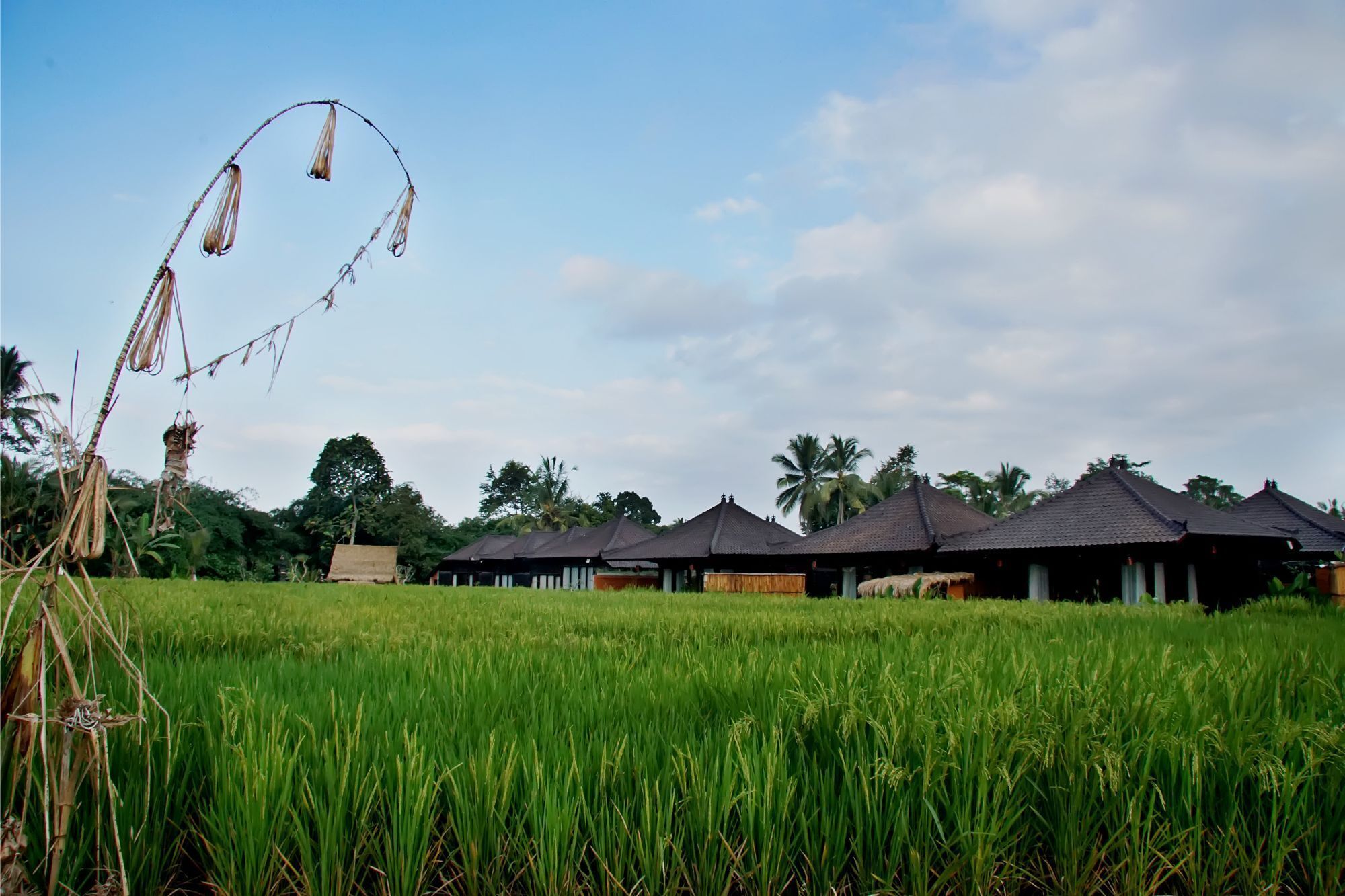 Great location, FREE breakfast