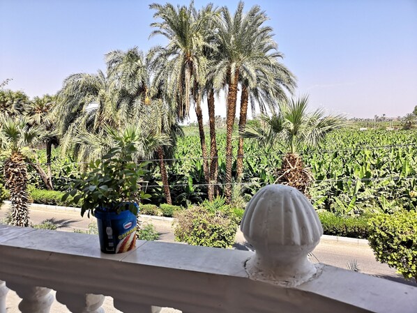 Deluxe Studio Suite | Balcony view
