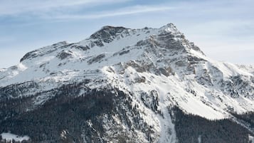 A snow-covered mountain with a rugged peak and forested slopes.