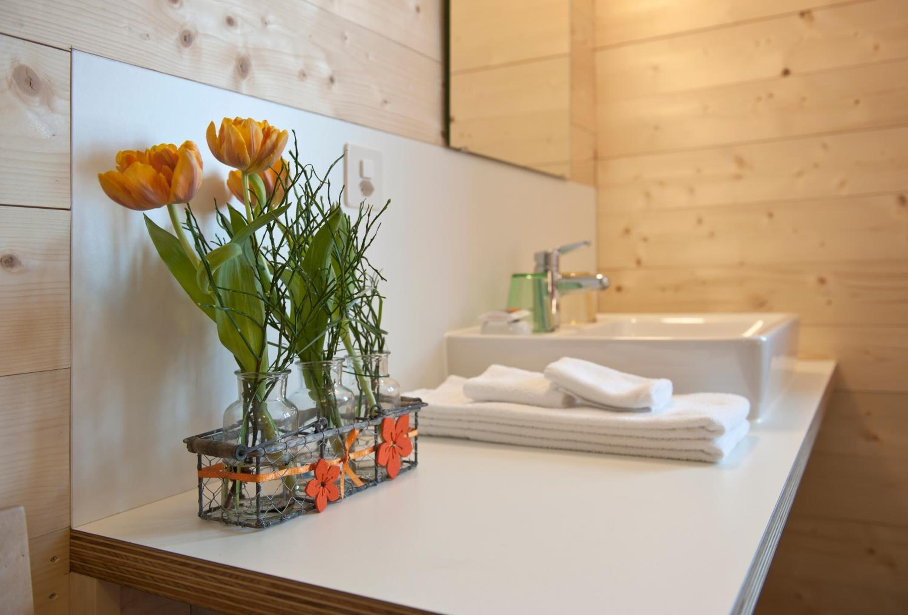 Douche, sèche-cheveux, peignoirs, serviettes fournies