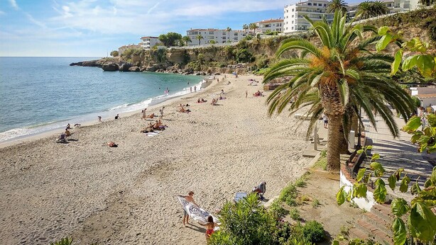 A beach with people sunbathing and swimming, a palm tree, and buildings in the background. - Nerja Bahía Apartamentos (Nerja)