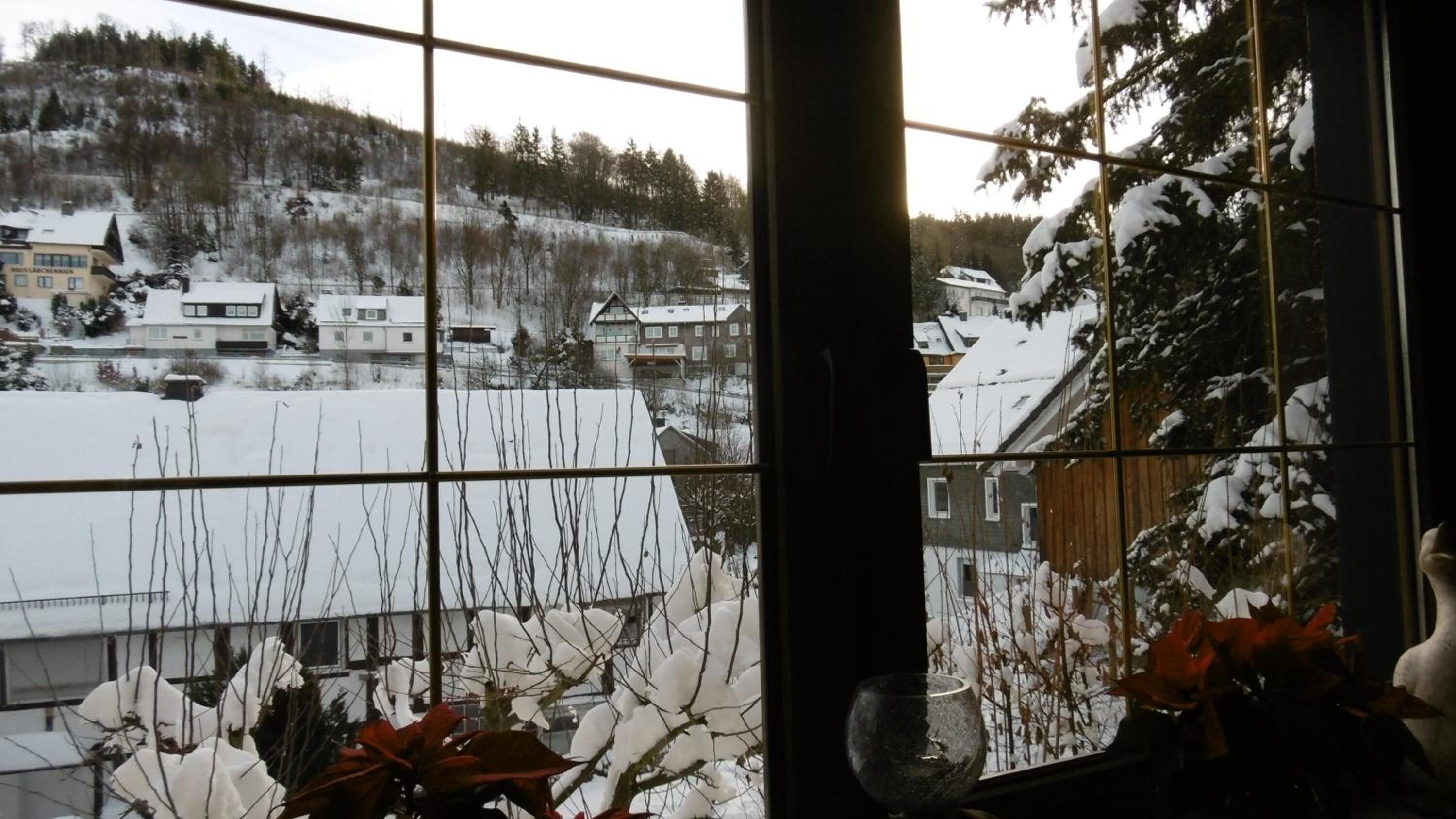 A view through a window with a grid pattern, overlooking a snowy landscape with buildings and trees.